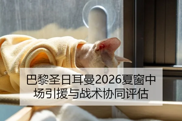 巴黎圣日耳曼2026夏窗中场引援与战术协同评估